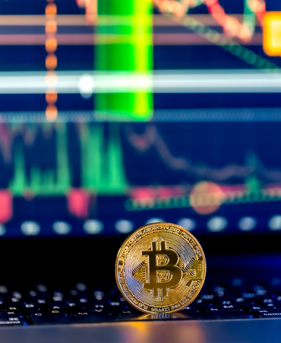 Información de Trading de Winglet System app